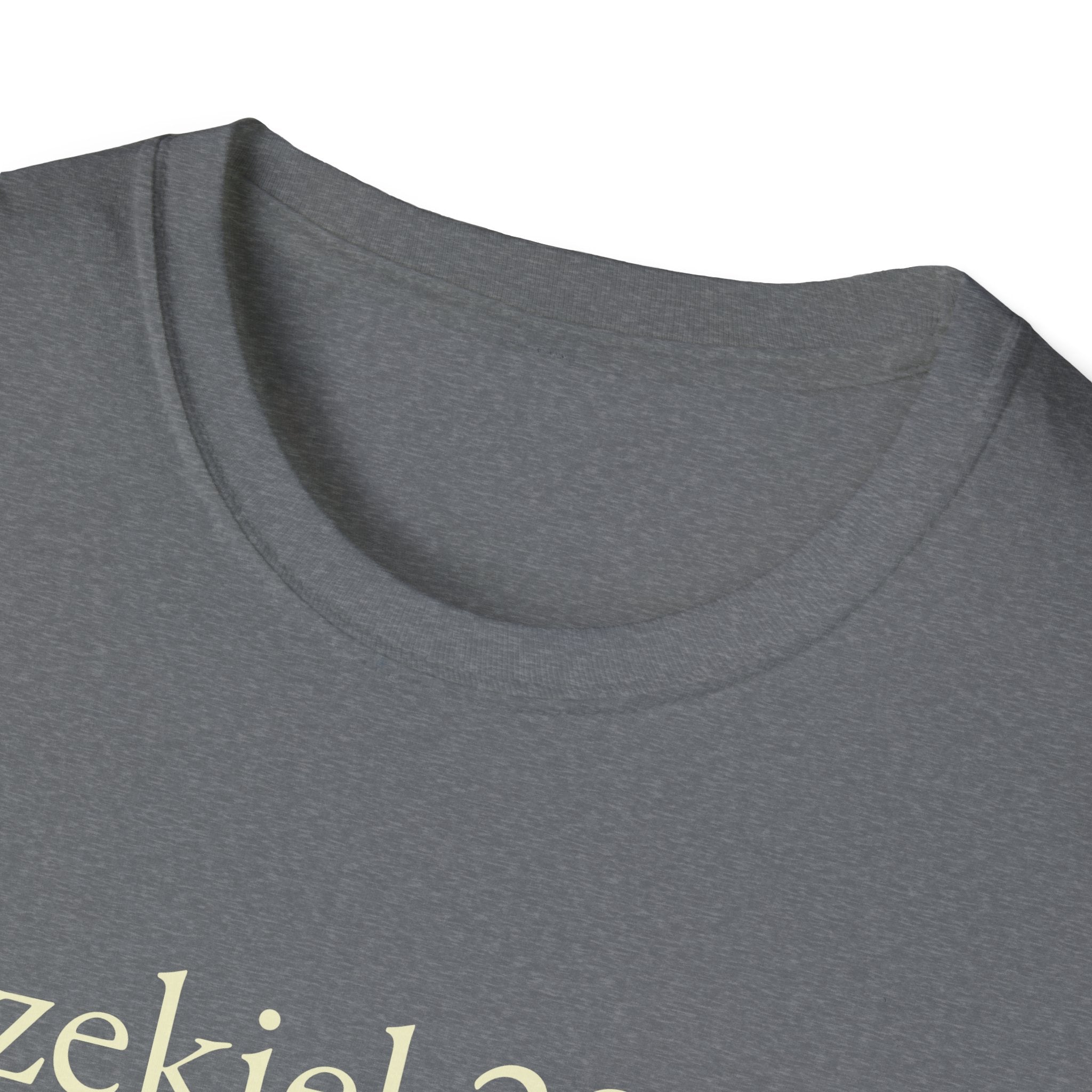 Ezekiel 23:20 Shirt Funny Bible Verse Tee Subtle Humor Graphic T-Shirt Unisex